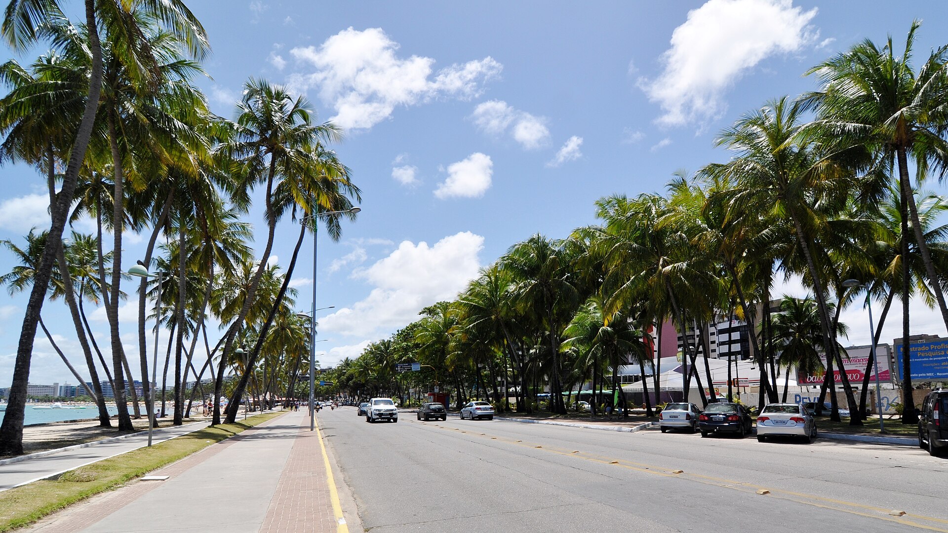 Avenida Entrecoqueiros em Maceió com edifícios e via arborizada